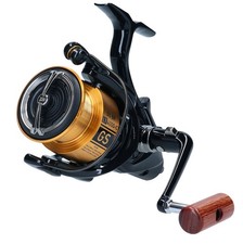 Daiwa GS BR LT 4000-C neu