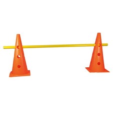 Pylonen-Hürde für´s Agility