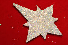Weihnachtsstern Stern