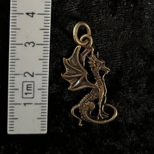 Drache Schmuck Anhänger aus