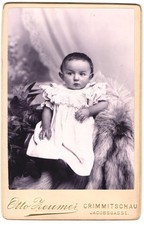 Fotografie Otto Zeumer