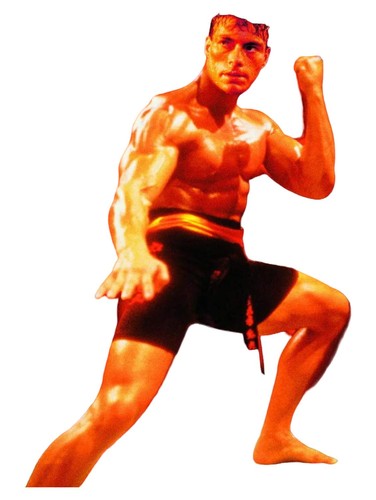 Bloodsport dvd actionfilm - bloodsport,