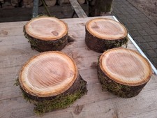 4 x Baumscheibe DEKO