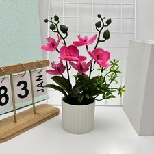 Indoor Simulation Orchidee