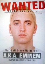 Eminem: Wanted | UK Import