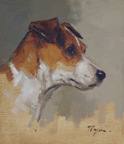 Original kunst ölgemälde - Ölgemälde,