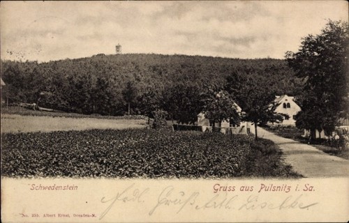Pulsnitz sachsen - ak,