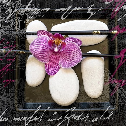 Pro art glasbild - art, 315