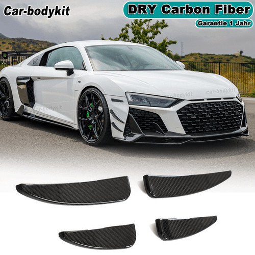 Dry carbon front flaps - dry,