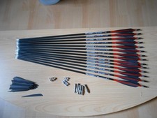 14 gebrauchte Carbon Express X-Buster Spine 350 Bogenpfeile