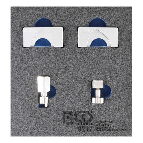 BGS-9217