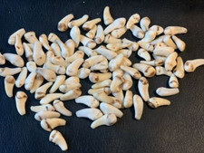 25x Hirsch Grandeln DEKO