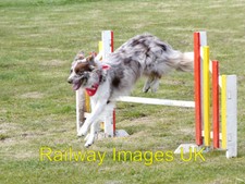 Foto Dorf - Hürde springen