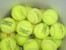 50 Tennisbälle gebraucht