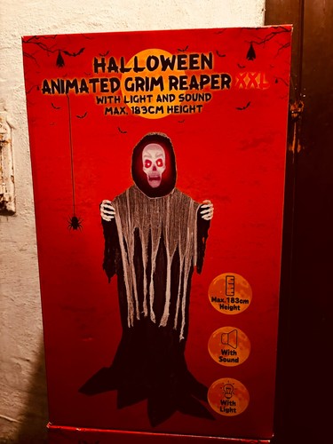 Halloween deko skelett figur - skelett,