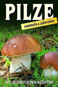 Pilze sammeln und zubereiten
