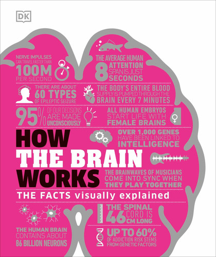 How the brain works - the, facts