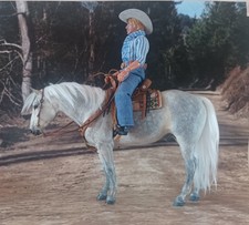Modellpferd traditional 9 - traditional, 1:9