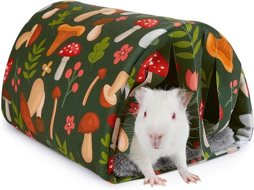 Meerschweinchen bett - meerschweinchen,