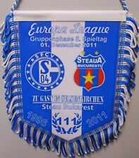 Schalke Wimpel Banner Europa