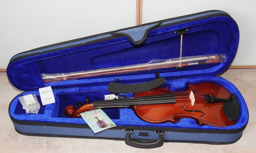 Leonardo violine 4 - ,