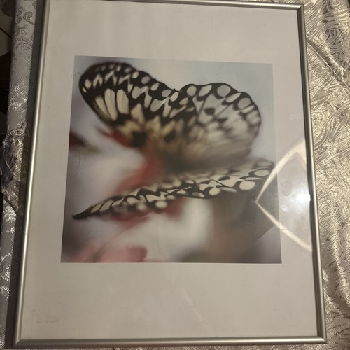 Wandbild 40 cm - wandbild, 50