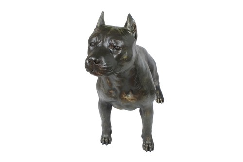 Staffordshire bull terrier - terrier, i