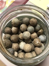 militaria musketenkugel blei