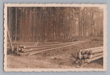 Ludwigsburg - Favoritepark