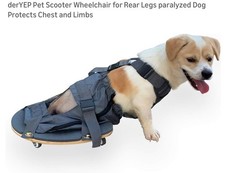 Pet Scooter Wheelchair for