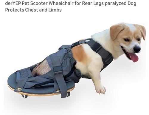 Pet scooter wheelchair for - scooter,