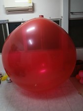 LOONER HOMEMADE 80" CLIMB IN