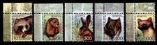 Marderhund, Nerz, Hase, Wolf