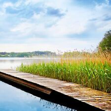 Reisegutschein Mecklenburgische Seenplatte 4ÜN | Wellnesshotel + Halbpension 2P