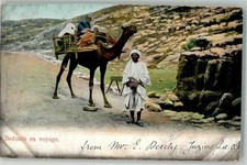 13986867 - Tracht Kamel Beduine Volkstypen / Brauchtum Aegypten 1905