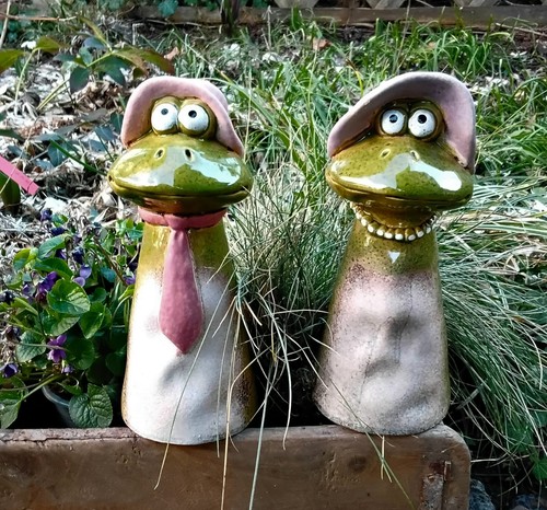 Zaunhocker frosch 1 paar - ,