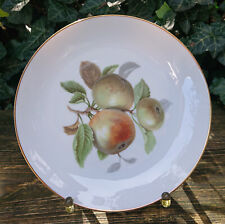 alter Teller Sammelteller Obstteller Hutschenreuther Selb Obstmotiv Äpfel