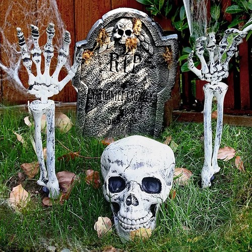 Skelett teile knochen - skelett-teile,