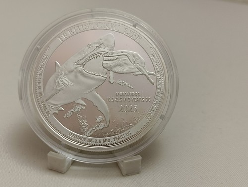 2025 kongo francs - 2025, 20