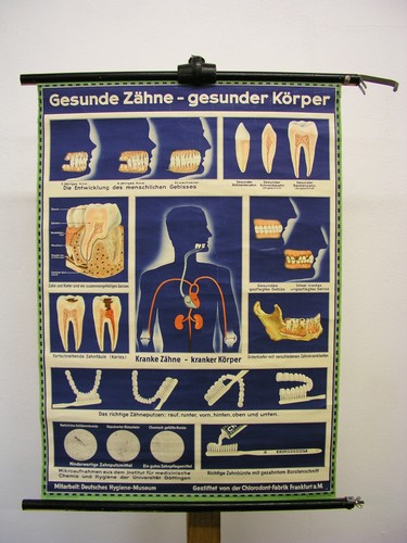 Gesunde zähne gesunder - gesunde,