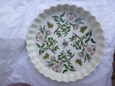 Portmeirion Fully Vitrified