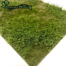 Wilde Wiese mit Büschen -