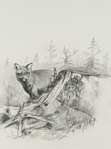 Fuchs wald 1969 kohle - im, 1969,
