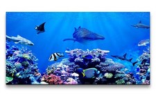 120x60cm Leinwandbild