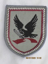 Division Luftbewegliche