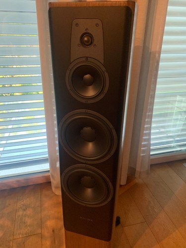Dynaudio contour walnuss - contour,