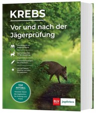Krebs: Vor und nach der