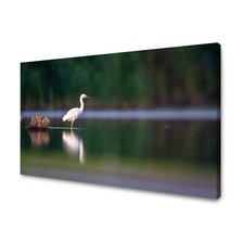 CANVAS Leinwandbilder Bilder