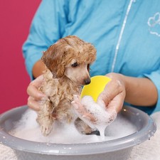  5 Pieces Badebürste Für