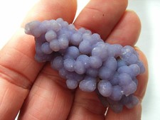 Wunderschöne. lavendelfarbene